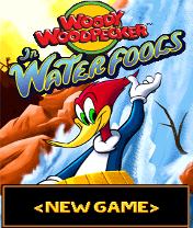 Woody Woodpecker In Waterfools Скачать бесплатно игру Вуди Вудпеккер и водопад - java игра для мобильного телефона