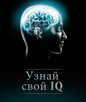 Find out your IQ Скачать бесплатно игру Узнай свой IQ - java игра для мобильного телефона